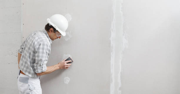 Best Fire-Damaged Drywall Repair  in Clintwood, VA